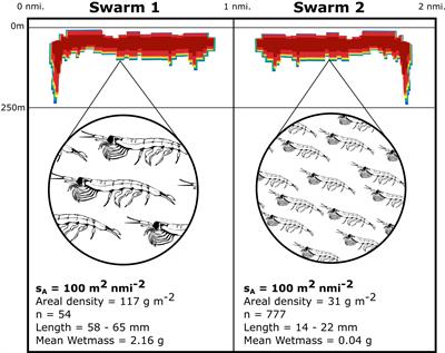 Per-length biomass estimates of Antarctic krill (Euphausia superba)